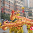 会同县:“骐骥”踏春来,龙腾狮跃闹元宵
