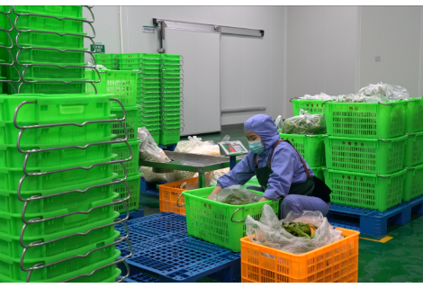 中方县：备好“开学第一餐” 配送企业迎“大考”