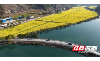 花海映古韵 盛会启新程 —— 辰溪春日盛景邀客共赴旅发之约