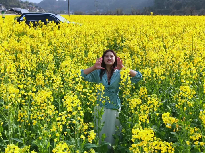 辰溪：油菜花开引客来 “春日经济”别样红