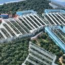 从凭经验到靠数据 靖州智慧大棚让杨梅抢“鲜”45天上市