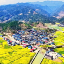 视频丨中方县：金浪涌青山 白龙穿花海