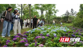 赴一场繁花之约尽享初夏生态福利   怀化人民公园繁花盛景醉游人