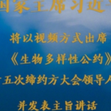 权威快报丨习近平将出席《生物多样性公约》第十五次缔约方大会领导人峰会