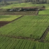 农业农村部持续发布农技指导意见 多措并举确保冬小麦播种