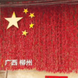 花式表白祖国，“这是中国人的浪漫”