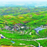 西海固：蓄足动能再出发——来自宁夏脱贫乡村的调研