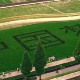 焦点访谈：不断发展全过程人民民主