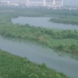 新思想引领新征程·时代答卷丨开创中部地区崛起新局面