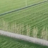 国新办发布会：自然资源领域助力全面建成小康社会