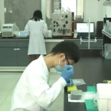 新闻观察： 中国积极推进多路径新冠肺炎药物研发