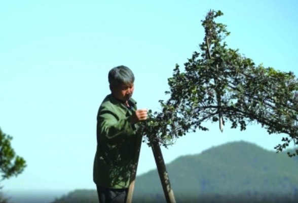 衡阳县：55岁大叔的菜园里有个“疯狂动物城”