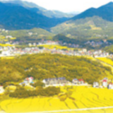 深度观察丨一粒粮食的“产业链之旅”