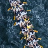 新华时评:投下对历史负责的一票