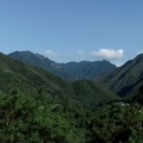 新华全媒+丨浙江安吉：治山治水 “两山”底色更亮丽
