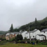 大山有“梦”：一个高山村的寻“富”路