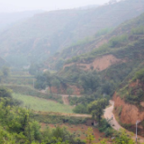 绿色，在黄土高原上铺展——黄河中游水土流失治理记