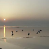 视频｜记录太湖之水，描绘太湖之美，共话太湖之恋！