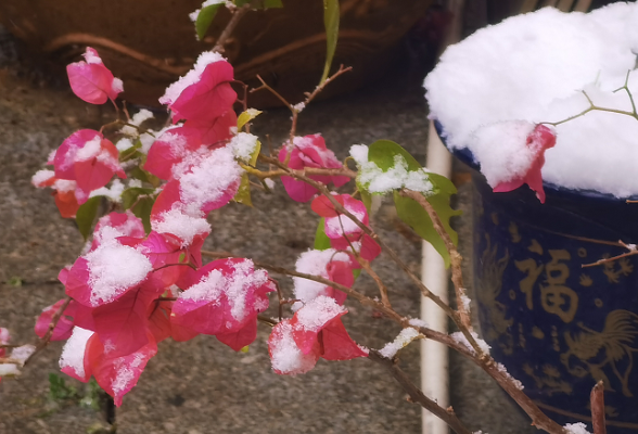 降雪已过最强时段，湖南54个县（市、区）出现积雪