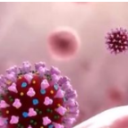 奥密克戎毒株已在至少38个国家和地区出现