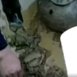 村民挖化粪池掘出罐子疑似文物，文旅部门回应正在鉴定