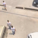 武汉一派出所教导员被指担保混凝土经营，回应称签名系仿冒