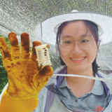 广西百色市乐业县百坭村原驻村第一书记黄文秀——执着的追求 闪光的青春（奋斗百年路 启航新征程·“七一勋章”获得者）