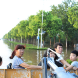 特写：新乡人的“回家之路”