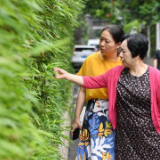 “七一勋章”获得者说丨林丹：当好“人民服务员”就是我的初心，我会守护好它