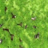 全球连线 | 色彩西藏