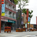 奋斗百年路 启航新征程·全国“两优一先”风采录丨战旗村党委：党建引领农村发展 乡村振兴战旗飘扬