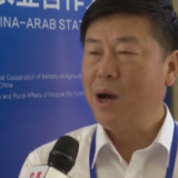 今日环球丨中阿博览会聚焦“一带一路”农业合作