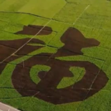 走进乡村看小康丨宜游宜业幸福长