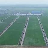 保障粮食安全丨2030年我国累计建成12亿亩高标准农田 保障1.2万亿斤粮食产能