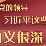 学习进行时丨论党的领导，习近平这些话涵义很深