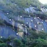 走进乡村看小康 | 北京密云西口外村：“清水下山，净水入库” 燕山深处蜜飘香
