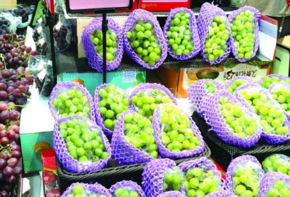 百元跌到10元，阳光玫瑰前景还“阳光”？