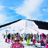 湖北神农架：冰雪运动 多彩绽放