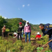 甘肃深闺特产“出山记”：线上线下呈独特优势