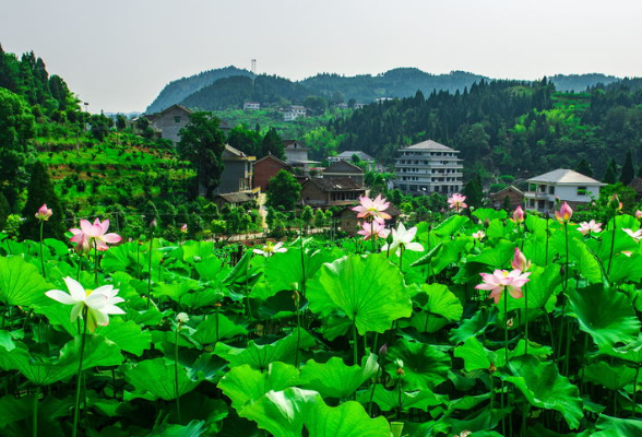 寻找中国式现代化村庄模样丨新化油溪桥村：小桥溪水人家，油画里的乡村中国