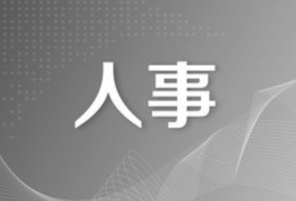 湖南省人民政府关于周伟等同志职务任免的通知