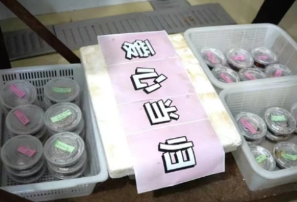 湖南各大高校送出考研暖心礼包，你收到了吗？