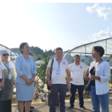 湘西州：当好民企“自家人”做好服务“贴心事”