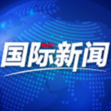 俄国防部长表示将继续帮助叙方“在全境收回主权”
