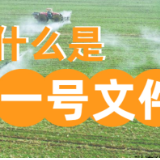 一图读懂丨什么是“中央一号文件”？
