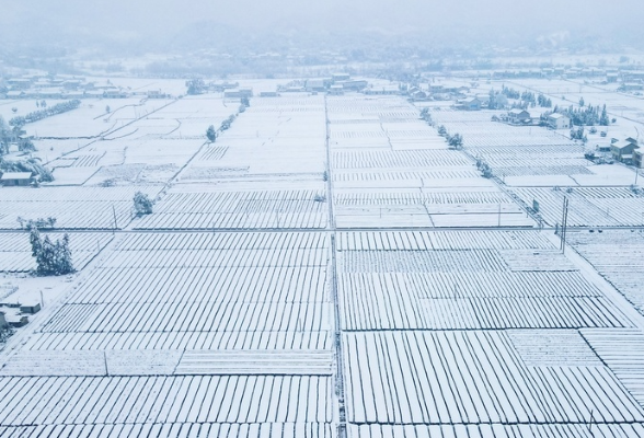 频繁出现的雪花让冬季氛围感拉满，为何湖南今年降雪特别多？