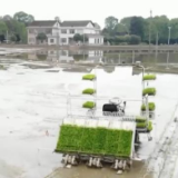 全国春播粮食已完成意向面积的7.6% 同比加快0.3个百分点