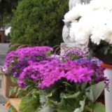 网络祭扫超60万人次 江苏开通58个网络祭扫平台