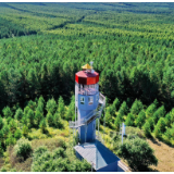 新华全媒+丨时空照相馆： 从一棵树，到一片海