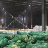 保障居民蔬菜供应 上海浦东新区启用应急保供大仓